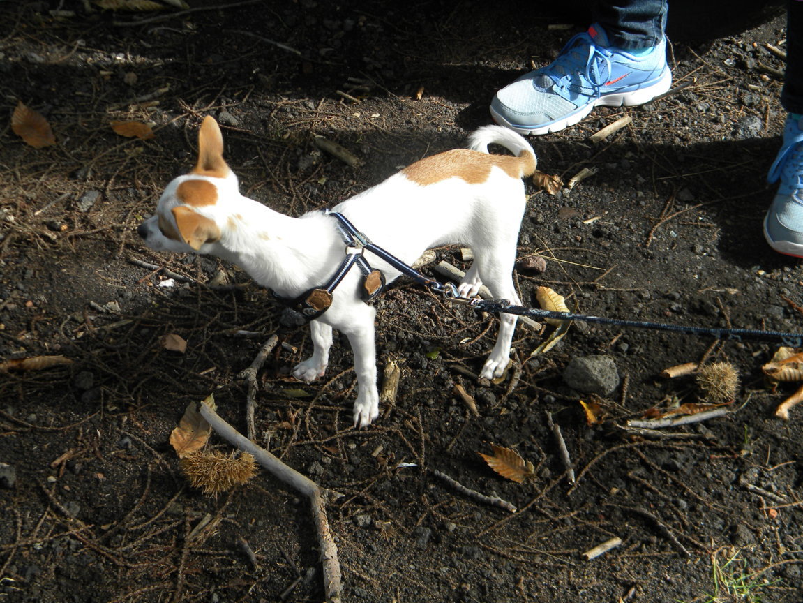 DSCN1008 .JPG